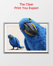 GPC Image Compatible Ink Cartridge Replacement for Canon 250XL 251XL PGI-250XL CLI-251XL Compatible with Pixma MX922 MG7520 MG5520 MG5420 MG6620 Printer Tray(4PGBK,2Black,2Cyan,2Magenta,2Yellow,2Gray)