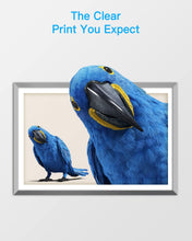 GPC Image Compatible Ink Cartridge Replacement for Brother LC203XL LC203 to use with MFC-J480DW MFC-J680DW MFC-J880DWMFC-J485DW MFC-J4620DW MFCJ5720DW (4 Black, 2 Cyan, 2 Magenta, 2 Yellow, 10-Pack)