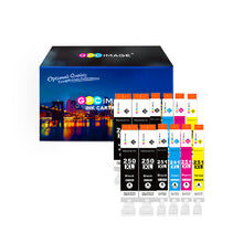 Compatible Ink Cartridge Replacement for Canon 250XL 251XL to use with PIXMA MX922 MG7520 MG5520 MG5420 MG6620 IP8720 iX6820 MG5620 Printer (4 PGBK,2 Black,2 Cyan,2 Magenta,2 Yellow,12 Pack)